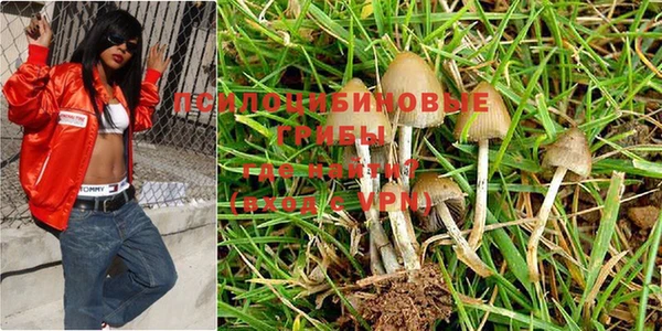 гидропоника Алексеевка