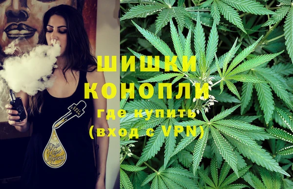 гидропоника Алексеевка