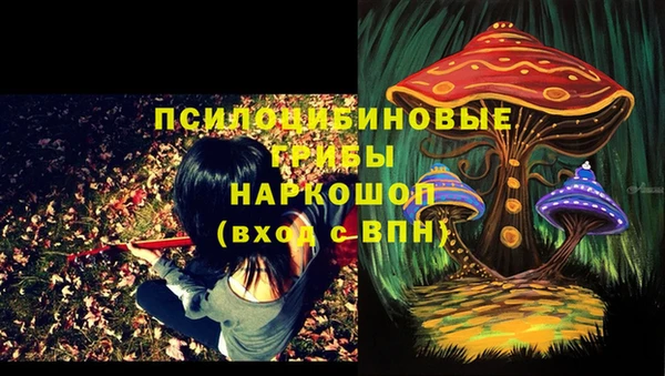 спайс Алзамай