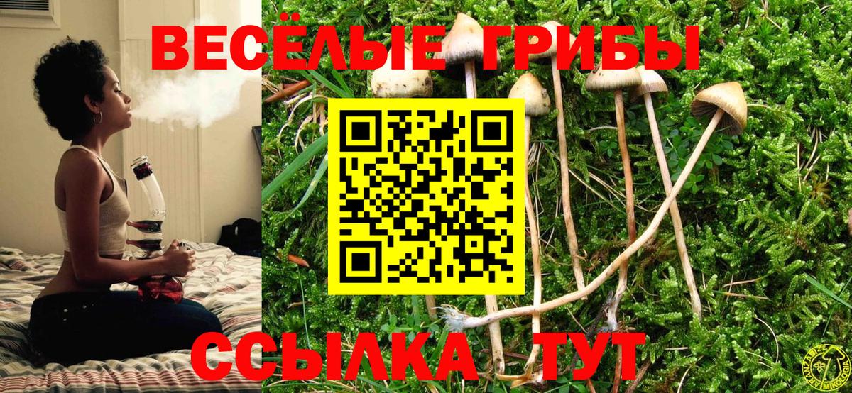 Галлюциногенные грибы GOLDEN TEACHER Владивосток