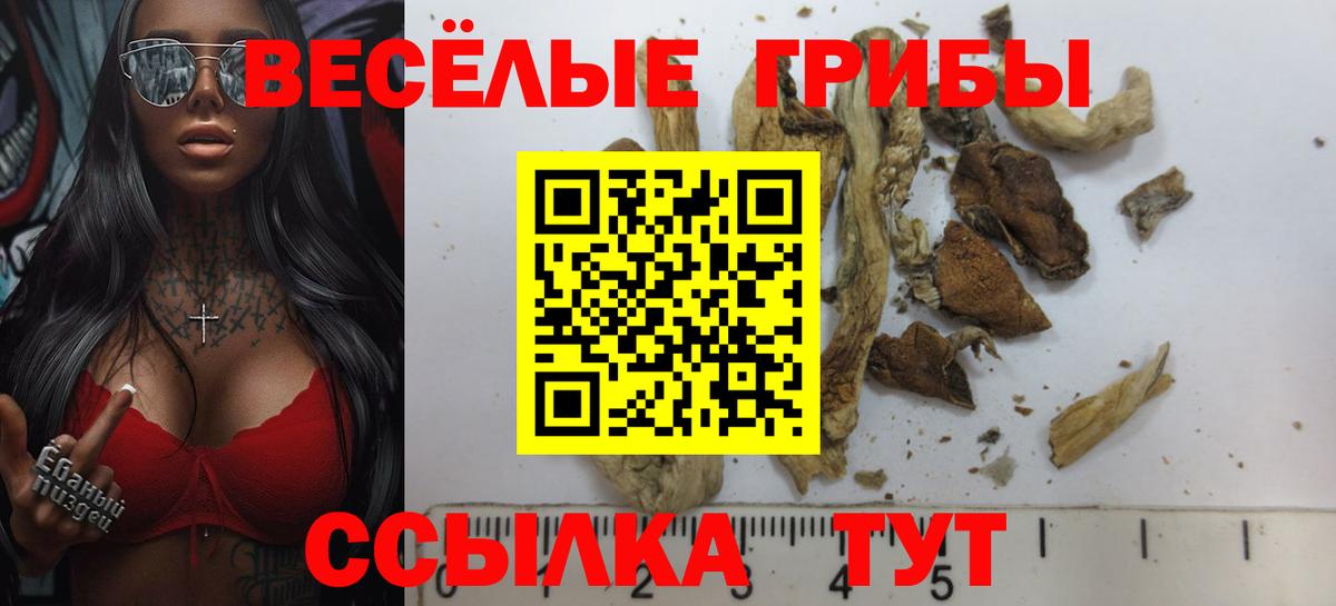 Псилоцибиновые грибы мицелий  Вход с VPN  Галлюциногенные грибы GOLDEN TEACHER  Владивосток 